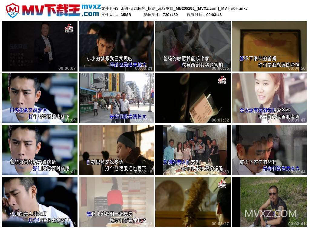 浪哥-真想回家_国语_流行歌曲_MB205285